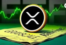 بيتوايز تدرج XRP في برنامج خزائن التمويل اللامركزي مع اقتراب وضوح التنظيمي