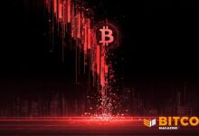 سعر البيتكوين يهوي 40% من القمم القياسية إلى أدنى مستوى في عام