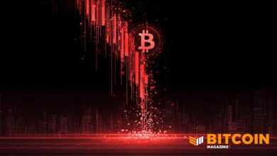 سعر البيتكوين يهوي 40% من القمم القياسية إلى أدنى مستوى في عام