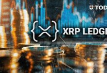 تنبيه XRPL: مهندس ريبل يوجه تذكيراً هاماً قبل ترقيات 2026