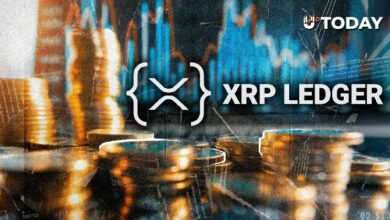 تنبيه XRPL: مهندس ريبل يوجه تذكيراً هاماً قبل ترقيات 2026