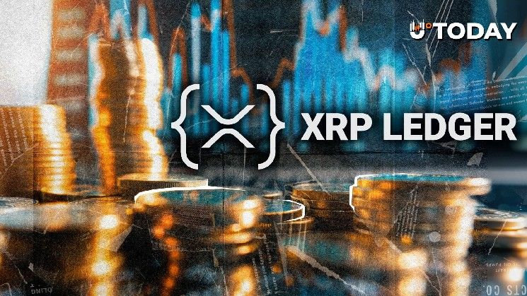 تنبيه XRPL: مهندس ريبل يوجه تذكيراً هاماً قبل ترقيات 2026