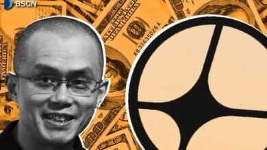 الدي إكس المفضل لـ CZ: شرح منصة Aster للمشتقات الدائمة