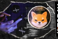 شيهتوشي كوساما يلمح إلى تحديث قريب بينما ينتظر SHIB الخطوة التالية