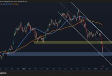 توقعات سعر البيتكوين: هل يشهد BTC انخفاضًا دون 60 ألف دولار أم انتعاشة قوية قادمة؟
