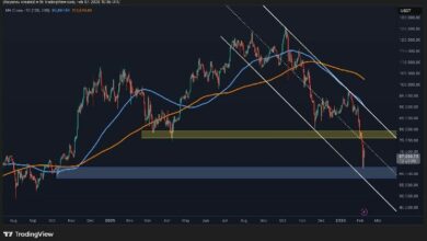 توقعات سعر البيتكوين: هل يشهد BTC انخفاضًا دون 60 ألف دولار أم انتعاشة قوية قادمة؟