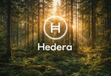 هيديرا توسع تأثيرها المناخي مع تحويل بي كاربون لمليوني رصيد كربوني إلى السلسلة
