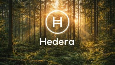 هيديرا توسع تأثيرها المناخي مع تحويل بي كاربون لمليوني رصيد كربوني إلى السلسلة