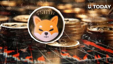 انهيار كارثي لسعر شيبا إينو (SHIB) يثير تساؤلات خطيرة