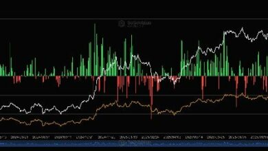 صناديق البيتكوين الأمريكية تسجل تدفقات إيجابية متتالية لأول مرة منذ شهر