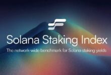 إطلاق مؤشر جديد في نظام سولانا لتتبع أداء عملية التخزين