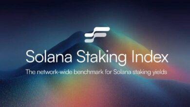 إطلاق مؤشر جديد في نظام سولانا لتتبع أداء عملية التخزين