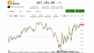 البيتكوين يستقر قرب 67 ألف دولار وسط تحوط المتداولين من مخاطر الانهيار