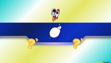 بيبين (PIPPIN) يحقق قفزة هائلة بنسبة 300% في أسبوعين: كيف يستفيد المتداولون من هذه الموجة؟