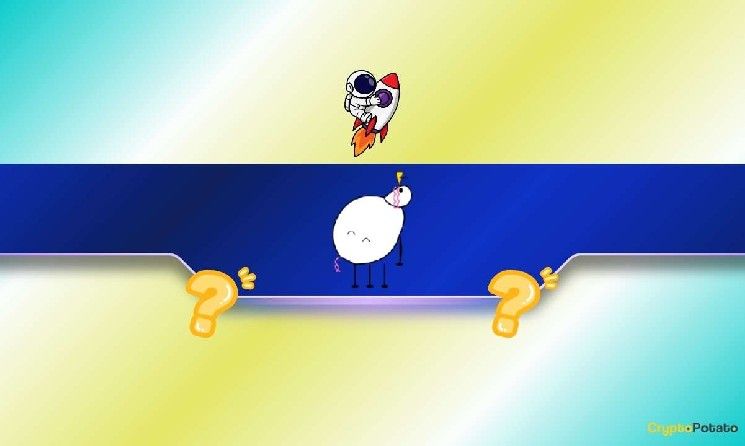 بيبين (PIPPIN) يحقق قفزة هائلة بنسبة 300% في أسبوعين: كيف يستفيد المتداولون من هذه الموجة؟