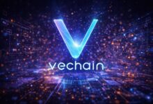مجتمع VeChain يدعم سقف تأييد جديد لدفع نمو VeBetterDAO