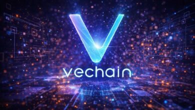 مجتمع VeChain يدعم سقف تأييد جديد لدفع نمو VeBetterDAO