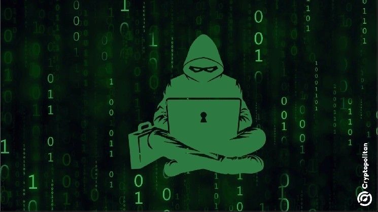 قراصنة كوريا الشمالية يتحولون من التسلل إلى إطلاق منصاتهم الخاصة للعملات الرقمية