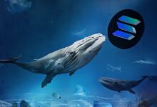 نشاط البوتات المتزايد على سولانا يُحفِّز تحركات استراتيجية في 2026