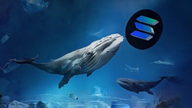 نشاط البوتات المتزايد على سولانا يُحفِّز تحركات استراتيجية في 2026