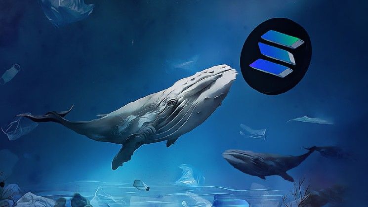 نشاط البوتات المتزايد على سولانا يُحفِّز تحركات استراتيجية في 2026