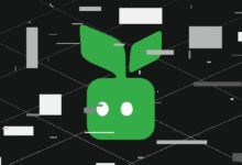 اختراق بقيمة 10 ملايين دولار يستهدف مجمع الإقراض YieldBlox على شبكة ستيلار