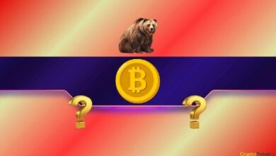 استفسرنا من الذكاء الاصطناعي: هل بيتكوين حقاً في سوق هابطة وأين يقع القاع؟