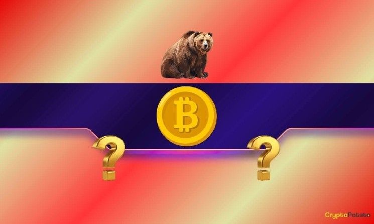 استفسرنا من الذكاء الاصطناعي: هل بيتكوين حقاً في سوق هابطة وأين يقع القاع؟