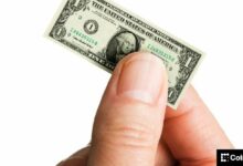 المستثمرون الصغار يشترون البيتكوين.. وحيتان السوق مفتاح نجاح الصعود