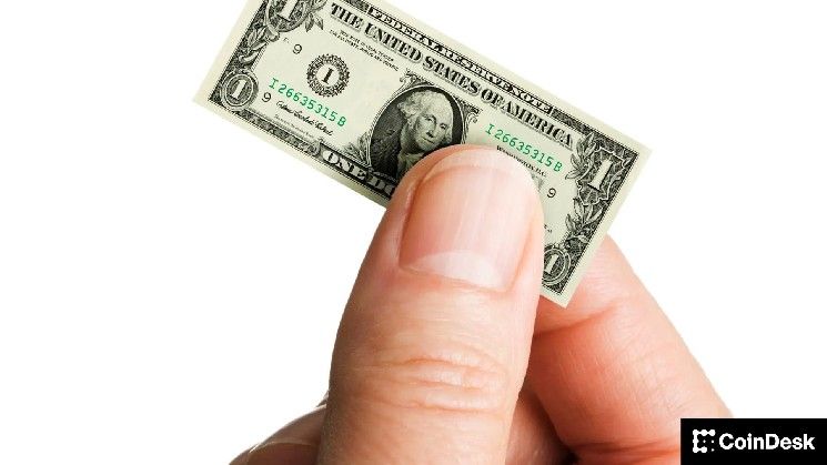 المستثمرون الصغار يشترون البيتكوين.. وحيتان السوق مفتاح نجاح الصعود