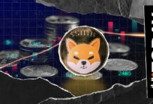 تسجيل تدفقات هائلة تتجاوز 700 مليون عملة شيبا إنو خلال 24 ساعة مع توجه الصناديق الكبرى نحو تسارع سوق العملات الرقمية