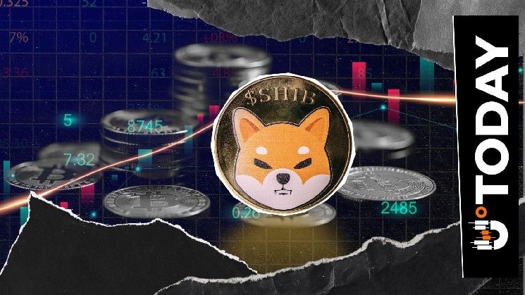 تسجيل تدفقات هائلة تتجاوز 700 مليون عملة شيبا إنو خلال 24 ساعة مع توجه الصناديق الكبرى نحو تسارع سوق العملات الرقمية