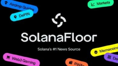 "سولانا فلور" تُعلن إنهاء عملياتها بعد التحديات التي واجهتها "ستيب فاينانس"