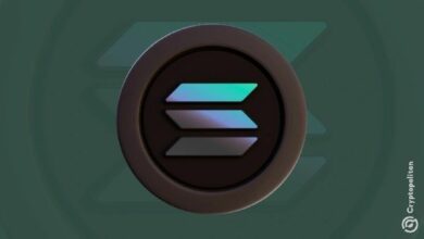 خزائن سولانا تتكبد خسائر فادحة مع هبوط سول 40% في 30 يوماً