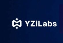 لماذا تسعى YZi Labs لتغيير مجلس إدارة شركة CEA Industries؟
