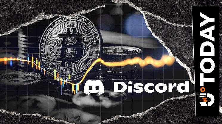 تود يحث منصة ديسكورد على قبول البيتكوين لتجنب عمليات التحقق من الهوية