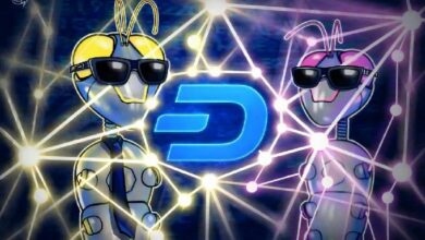 سلسلة داش إيفولوشن تدمج بركة خصوصية زيكاش أوركارد