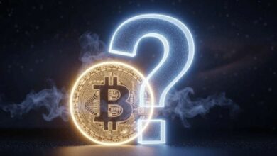 محلل توقع بدقة آخر هبوط كبير للبيتكوين يتنبأ بالمستقبل ويُسمي عملة بديلة واعدة