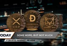 مراجعة سوق العملات الرقمية: XRP يستقر وسط تقلبات منخفضة، DOGE يصارع عند 0.10 دولار، هل تختبر Shiba Inu (SHIB) دعمًا رئيسيًا؟