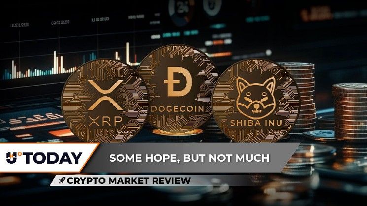 مراجعة سوق العملات الرقمية: XRP يستقر وسط تقلبات منخفضة، DOGE يصارع عند 0.10 دولار، هل تختبر Shiba Inu (SHIB) دعمًا رئيسيًا؟