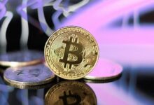 جاذبية فلوريدا المتصاعدة في قطاعي التكنولوجيا والأصول الرقمية