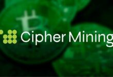 سايفر تعلن عن خسارة صافية معدلة بقيمة 55 مليون دولار في الربع الرابع وتمويل بقيمة 3.73 مليار دولار للتحول نحو الذكاء الاصطناعي