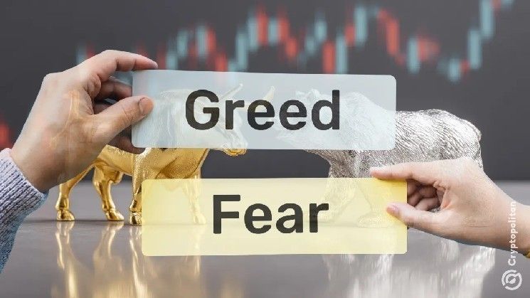 سيكولوجية السوق: فهم الخوف والجشع في عالم العملات الرقمية