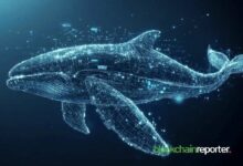 محلل: اختراق النموذج الوتدي الصاعد لـ WHITEWHALE يمنح المتداول ربحاً بنسبة 100% ويستعد لصعود 215% نحو هدف 0.45000 دولار