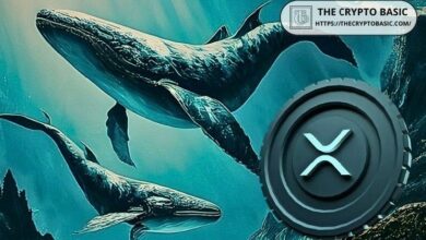 حيتان غامضة تنقل 1.59 مليار XRP منذ بداية يناير