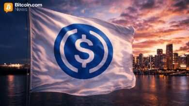 تقرير: إعادة توازن مزودي السيولة تُحفز نمو تحويلات USDC على شبكة Base