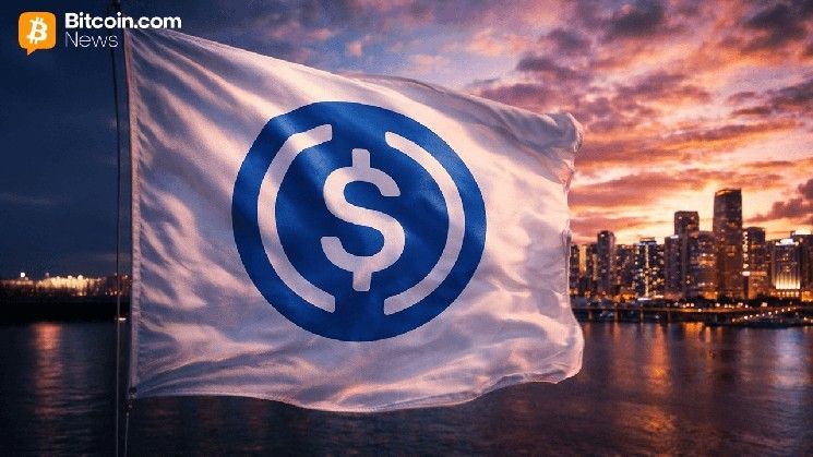 تقرير: إعادة توازن مزودي السيولة تُحفز نمو تحويلات USDC على شبكة Base