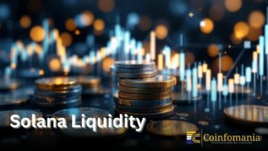 تسجيل تدفقات هائلة للعملات المستقرة خارج شبكة سولانا خلال 24 ساعة