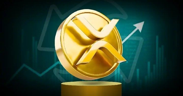 باتريك بيت ديفيد يزيد حيازته من عملة XRP بينما تمحو التقلبات مليارات من سوق العملات الرقمية