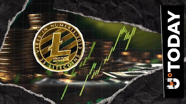 لايتكوين تتفوق على البيتكوين ودوجكوين وداش مع تجاوز العناوين النشطة 237 ألف